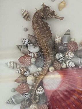 Vintage 3D Alexander Coll Seahorse & Shell Mixed Media Wall Art - Gold Frame